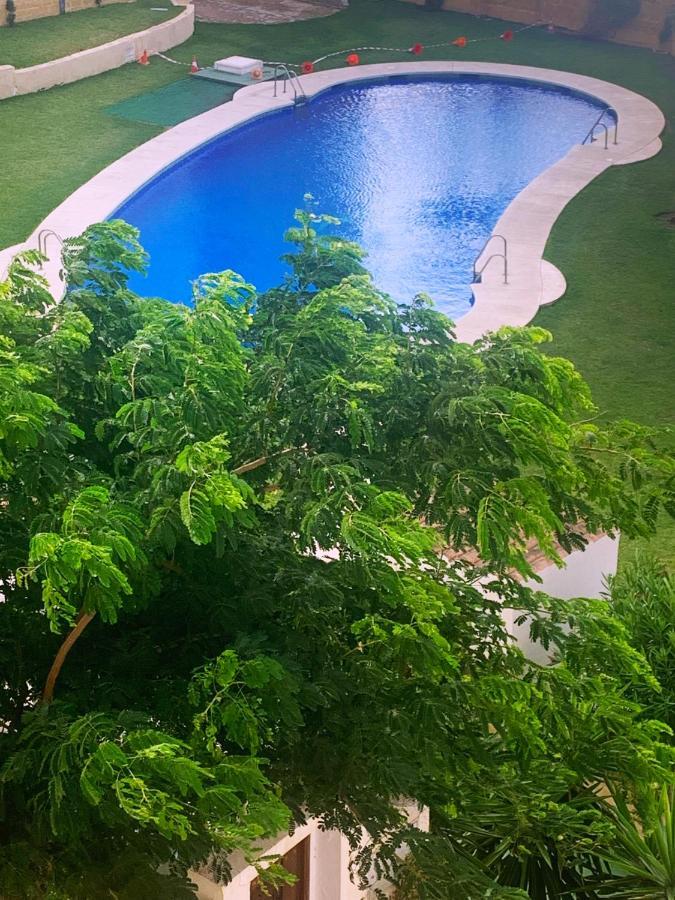 Lovely Beachfront Apartment In Calahonda Sitio de Calahonda Esterno foto